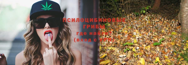 альфа пвп Гусев